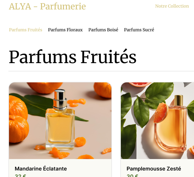 Site Vitrine ALYA